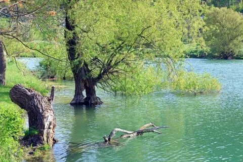 Beautiful  spring lake Stock Photos