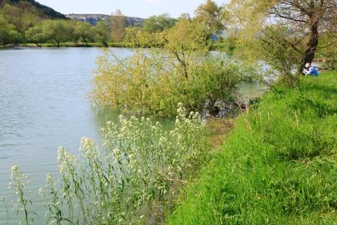 Beautiful  spring lake Stock Photos