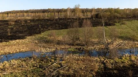 A Beautiful Spring Landscape Featuring Burnt Grass Alongside a Serene River.. Stock Photos