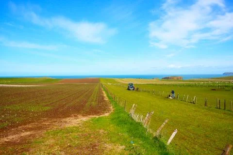 Beautiful spring landscape with fields Stock Photos