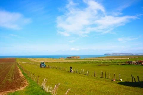 Beautiful spring landscape with fields Stock Photos