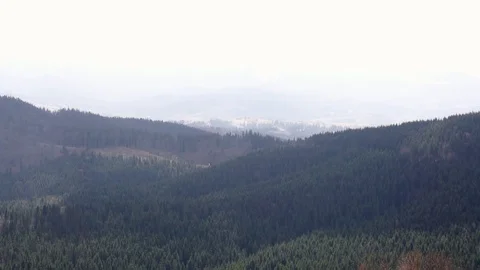 Beautiful spring landscape with mountains, pine woods forest mountain valley Video stock 114005250