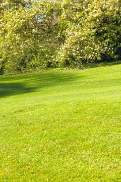 Beautiful spring landscape Stock Photos