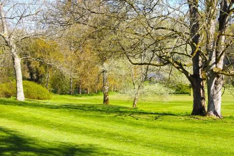 Beautiful spring landscape Stock Photos