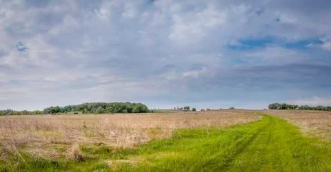 Beautiful spring landscape Stock Photos
