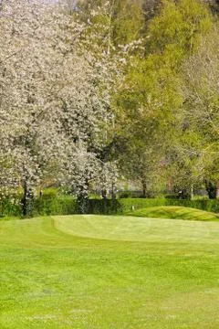 Beautiful spring landscape Stock Photos