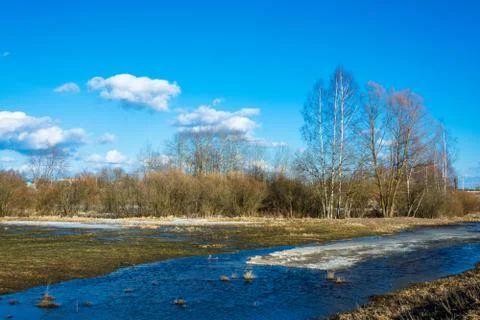 Beautiful spring landscape. Stock Photos