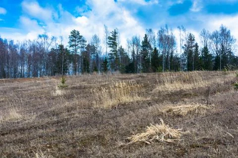 Beautiful spring landscape. Stock Photos
