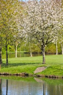 Beautiful spring landscape Stock Photos