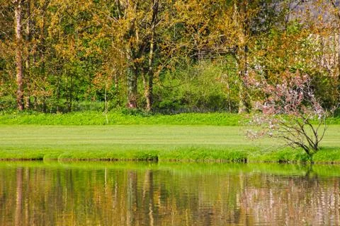 Beautiful spring landscape Stock-Fotos