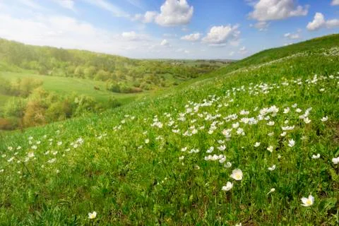 Beautiful spring landscape Stock Photos