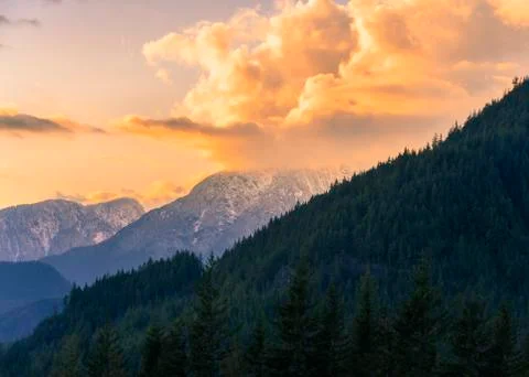 Beautiful Spring landscape, Stock Photos