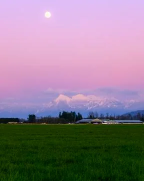Beautiful Spring landscape, Stock Photos