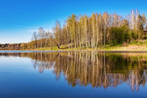 Beautiful spring landscape. Reflection of the blue cloudless sky and trees in Stock Photos