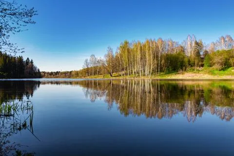 Beautiful spring landscape. Reflection of the blue cloudless sky and trees in Stock Photos