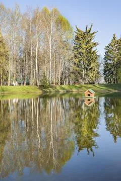Beautiful spring landscape. Reflection of the blue cloudless sky and trees in Stock Photos