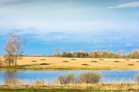 Beautiful spring landscape with the river. Stock Photos