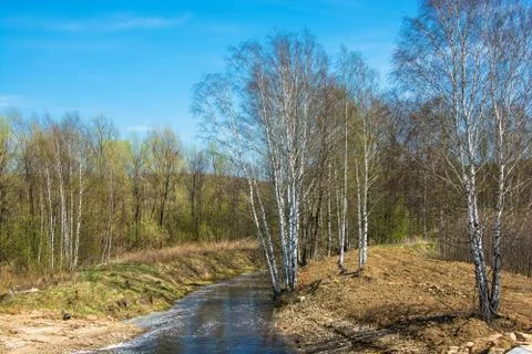 Beautiful spring landscape with the river. Stock Photos