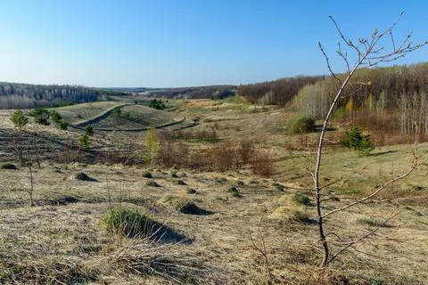 Beautiful spring landscape: trees, forest, mountains, hills, fields, meadows  Stock-Fotos