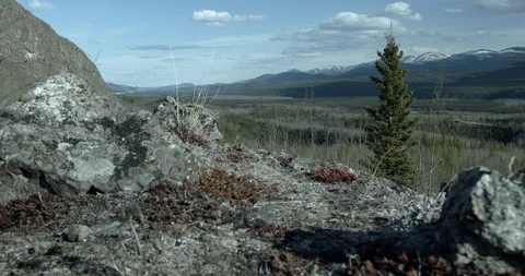 Beautiful Spring Landscape view - Slider shot Stock Footage 108130215