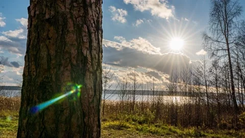 Beautiful spring landscape on a wild forest lake, time lapse, camera movement Stock Footage 237887397