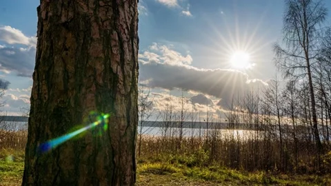Beautiful spring landscape on a wild forest lake, time lapse, camera movement Stock Footage 239450892