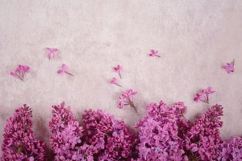 Beautiful spring lilac flowers background Foto stock
