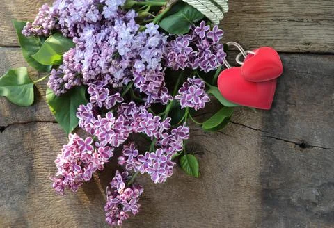 Beautiful spring lilac Foto stock