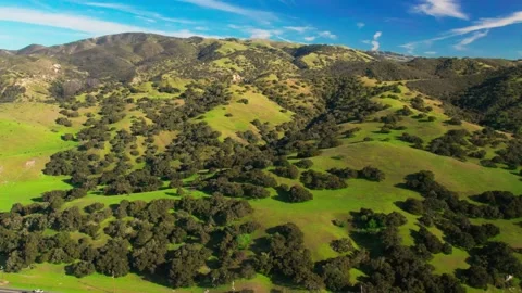 Beautiful spring mountain landscape with green fields and trees Stock Footage 304938605