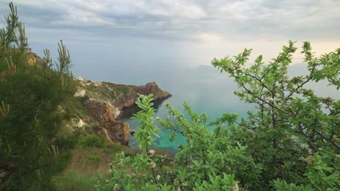 Beautiful spring nature landscape. Stock Footage 240987935