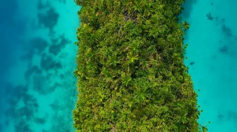 BEAUTIFUL SPRING Stock Photos