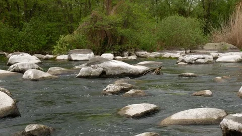 Beautiful spring river and green trees Stock Footage 80423646