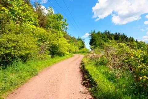 Beautiful spring road Stock Photos