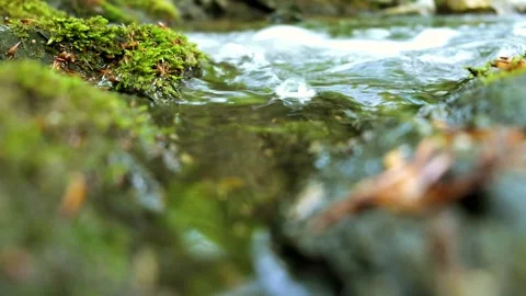 Beautiful spring with rocks covered in moss close up Stock Footage 154144740