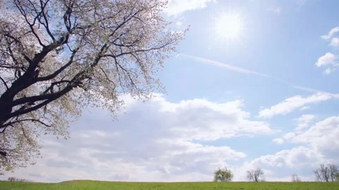 Beautiful spring scenery in Upper Austria Stock Footage 230035569