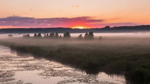 Beautiful spring sunrise on the river. Beautiful spring landscape 動画素材 135859450