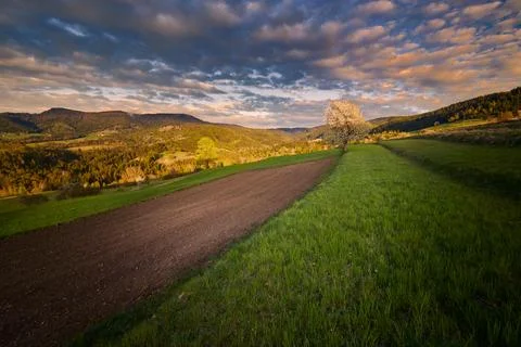 Beautiful spring sunset Stock Photos