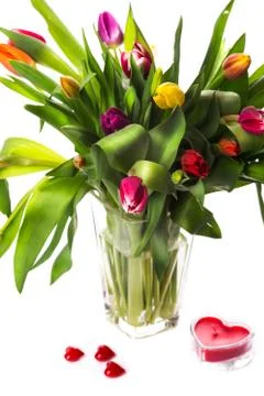 Beautiful spring tulips isolated Foto stock