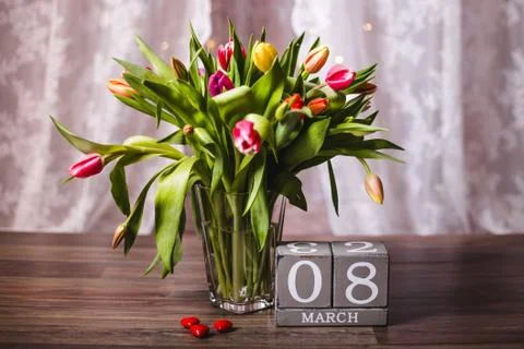 Beautiful spring tulips  Stock Photos
