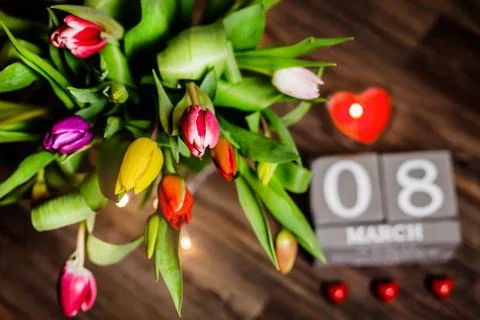 Beautiful spring tulips  Stock Photos