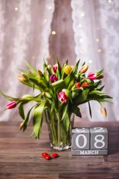Beautiful spring tulips  Stock Photos