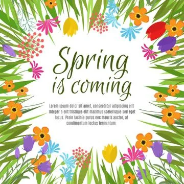Beautiful spring vector background with early garden and forest flowers and Stock Illustration