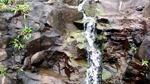 Beautiful Spring Water fall Stock Footage 232115449