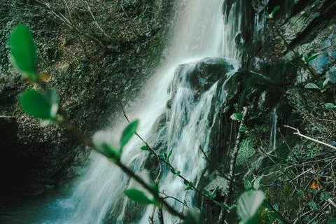 A beautiful spring waterfall with small young shrub leaves Stock Photos