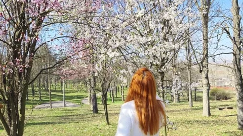 Beautiful springtime Stock Footage 268057004