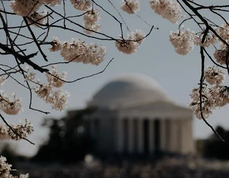 Beautiful springtime view of the Jefferson Memorial in Spring Stock Photos