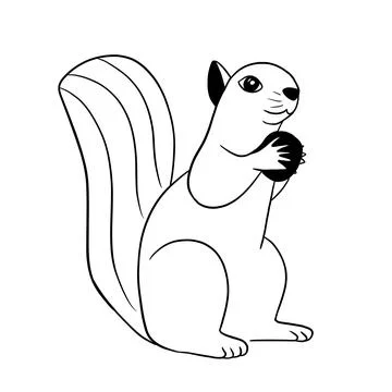 Beautiful squirrel holding a nutlet in its paws Stock Illustration