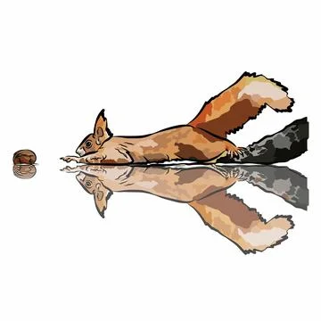 Beautiful squirrel images Stock Illustration