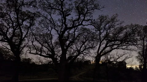 Beautiful star sky with trees time lapse Stock Footage 61793126