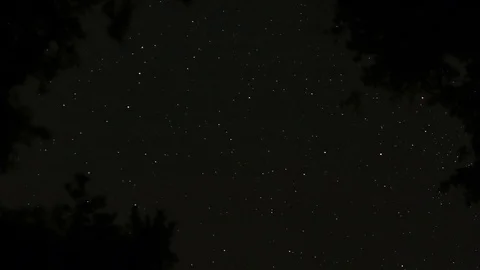 Beautiful starry sky in the forest Stock Footage 97508072